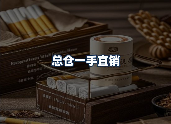 专业团队办公环境