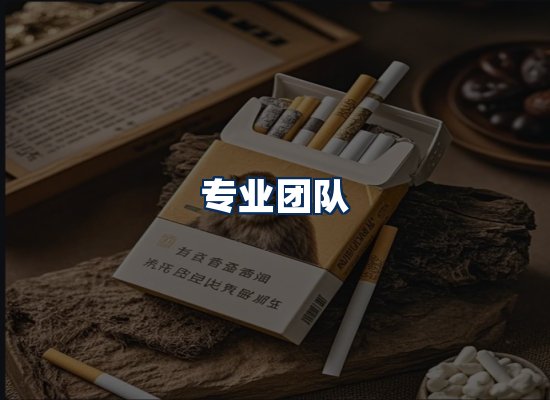 专业团队